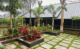 1000 Silvers -Farm Stay